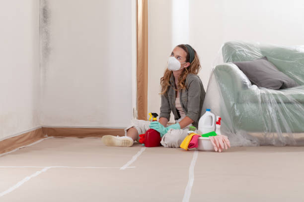 Reliable Mold Remediation contractor in Waterford, VA by WQB Mold Removal